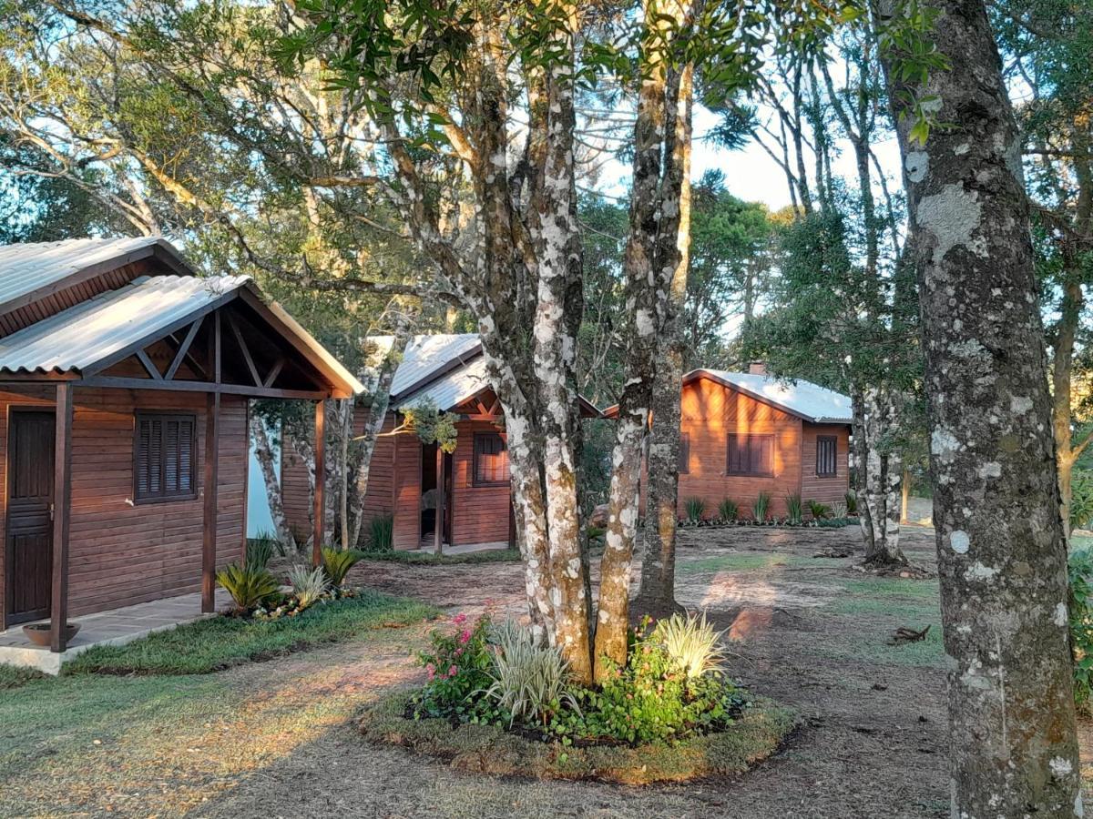 Cabanas Dos Pinheiros Sao Francisco de Paula  Luaran gambar